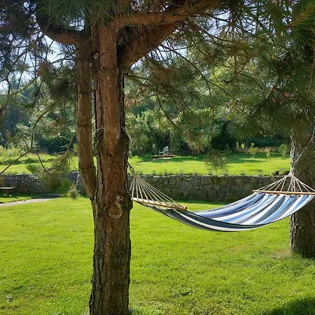 Tatowo ホームステイ *